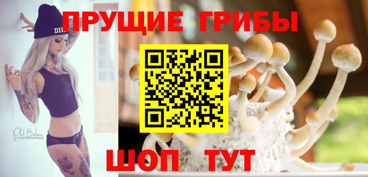 Коломна  Галлюциногенные грибы Psilocybine cubensis  Вход с VPN 